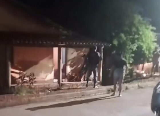 Reprodução/vídeo