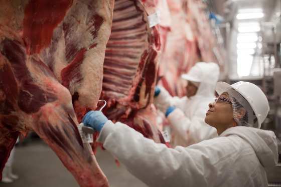 Com esse resultado, o estado superou São Paulo.