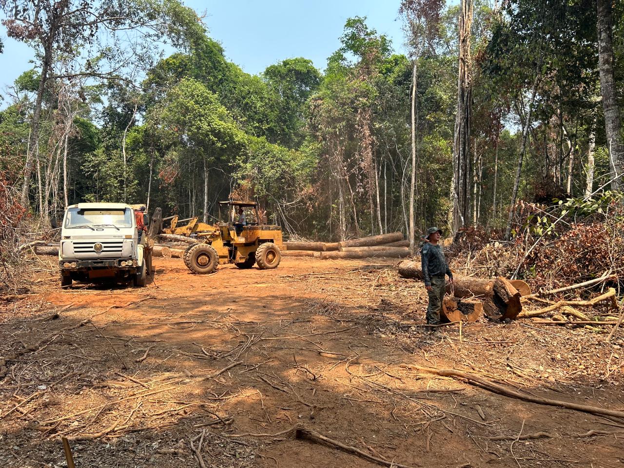 WhatsApp-Image-2025-11-19-at-15.41.05