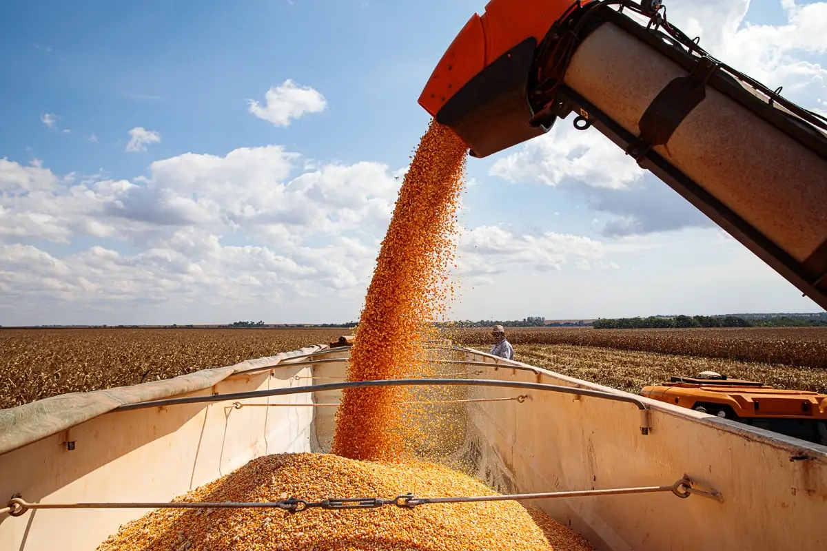 'Irã é um dos maiores compradores de milho do Brasil,